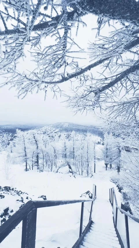 Frost-covered trees in winter mountains 스톡 동영상 298180237
