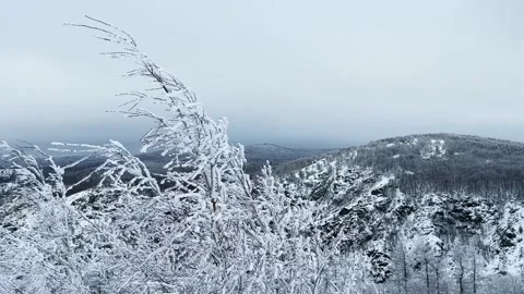 Frost-covered trees in winter mountains Stock Footage 298180306