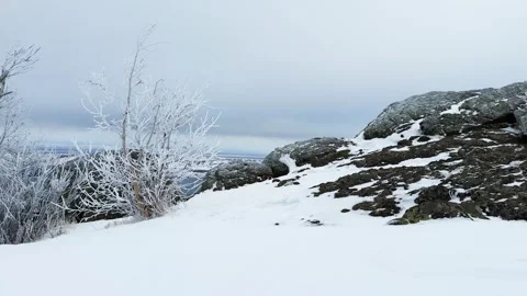 Frost-covered trees in winter mountains Stock Footage 298180353