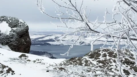 Frost-covered trees in winter mountains Stock Footage 298180446