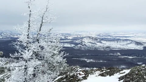Frost-covered trees in winter mountains Stock Footage 298180465