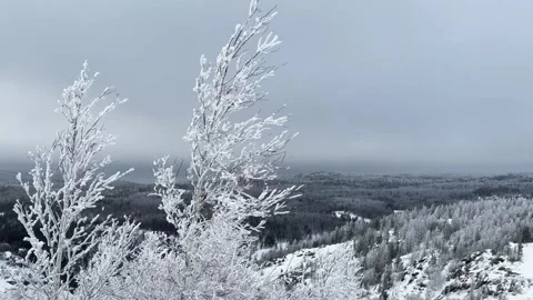 Frost-covered trees in winter mountains Stock Footage 298180571