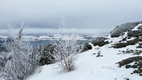 Frost-covered trees in winter mountains Stock Footage 298180591