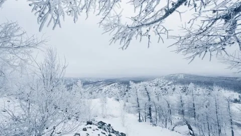 Frost-covered trees in winter mountains Stock Footage 298180613