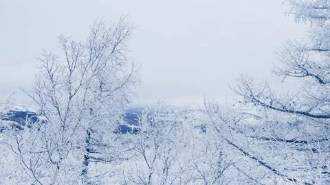 Frost-covered trees in winter mountains Stock Footage 298180683