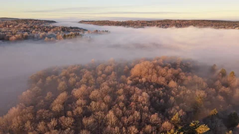 Frost covers forest and countryside in mist Stock Footage 323077761