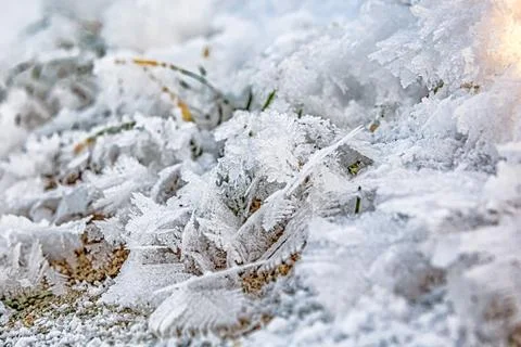 Frost covers grass and soil with intricate patterns, showing winter's effects Stock Photos