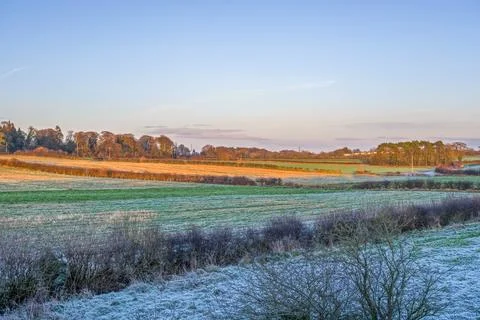 Frost covers grassy fields under clear morning sky Foto stock