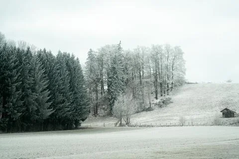 Frost covers trees and fields in a winter landscape with a small building i.. Stock Photos