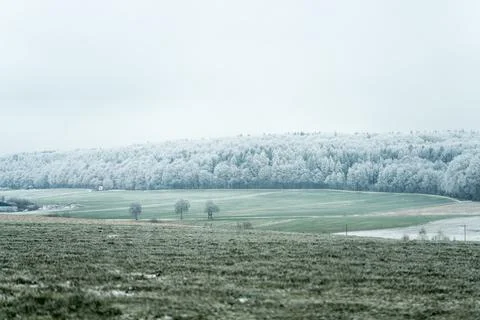 Frost covers trees and fields in a winter landscape during a cloudy day Stock-Fotos