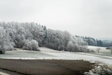 Frost covers trees and fields on a winter day in a rural area near quiet road Foto stock
