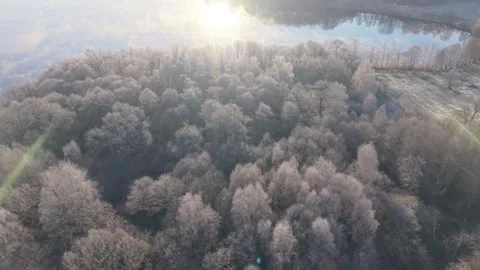 Frost covers trees and lake in Sweden during winter morning Stock Footage 323075643