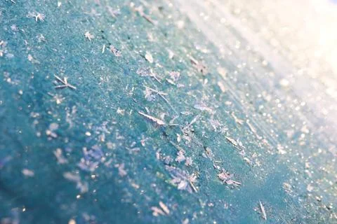 Frost creation on the glass Stock Photos