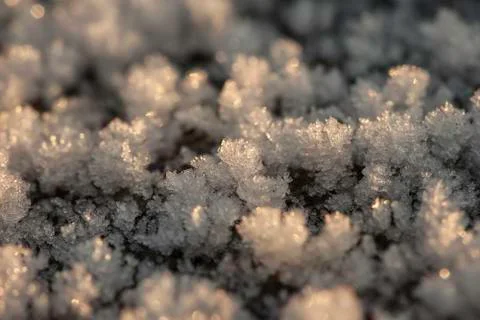 Frost crystals closeup Stock Photos