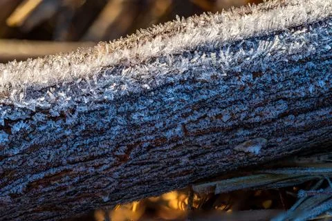 Frost crystals forming on fallen log bark macro close-up winter Stock Photos