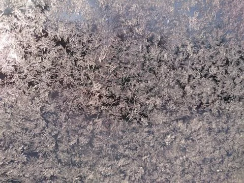 Frost crystals on a window Stock Photos