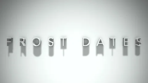 Frost Dates 3D title animation with shadows on a white background Stock Footage 296517426