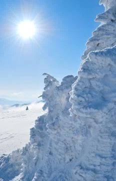 Frost deposit Stock Photos