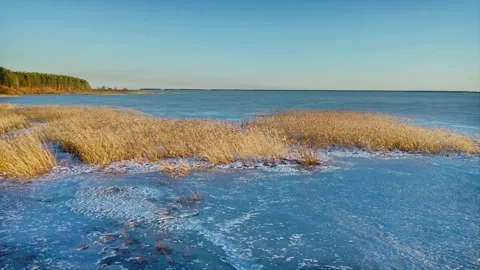 Frost, the first ice has bound the waters of a large lake, the reeds illuminated Stock Footage 252374745