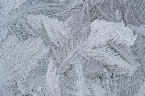 Frost flower on the window Stock Photos