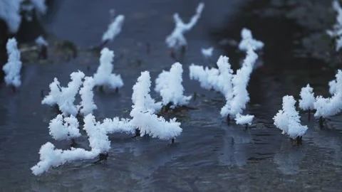 Frost flowers and the flow of the river (with sound) Stock Footage 333299635