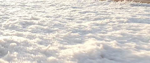 Frost Flyby Low To Ground Stock Footage 234766440