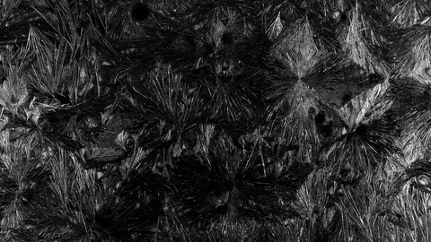 Frost Stock Footage 120702199