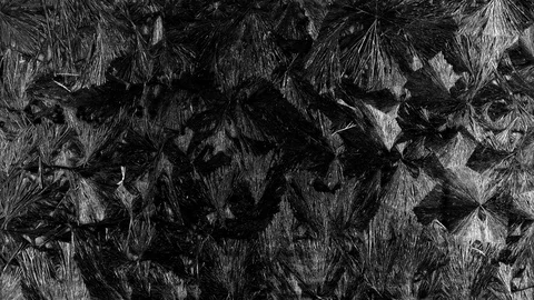 Frost Stock Footage 120702565