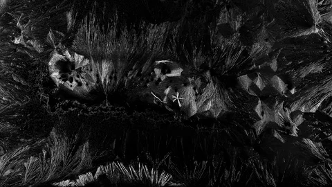 Frost Stock Footage 120702644