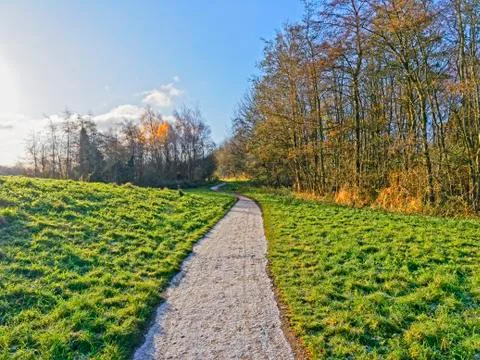 Frost on a footpath Stockfoto's