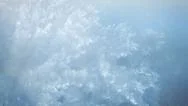 Frost Forming With Alpha Stock Footage