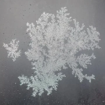Frost forms intricate, delicate, branching patterns on a dark surface 스톡 사진
