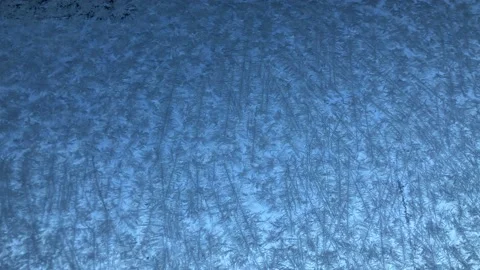 Frost on glass Video stock 166826821