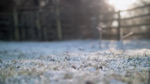 Frost grass Stock Footage 140400081