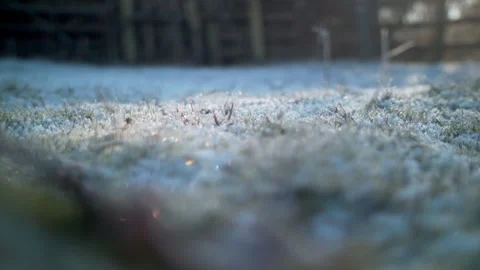 Frost on grass Stock Footage