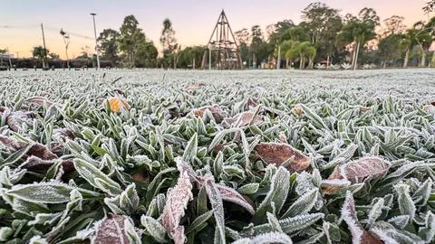 Frost on the grass, in the foreground, with focus on the ice and in the backg Stock Photos