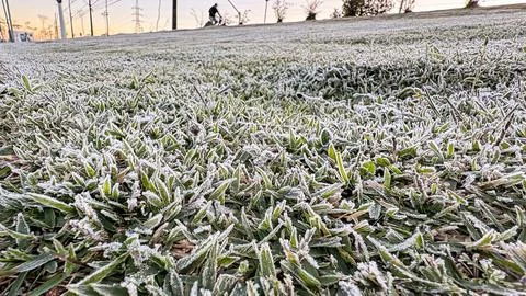 Frost on the grass, in the foreground, with focus on the ice and in the backg Stock Photos