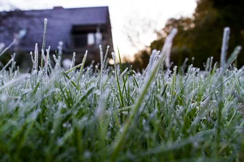 Frost on grass Stock Photos