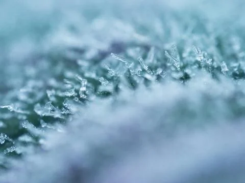 Frost on a green background. Close up. Foto stock
