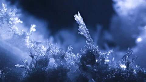 Frost Growing and Freezing Macro Timelapse Stock Footage 150734245