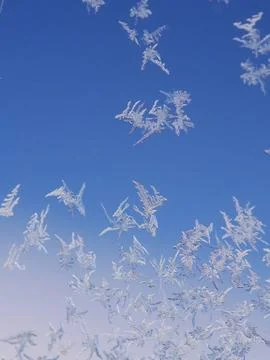 Frost ice crystal on window Stock Photos