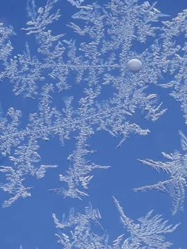 Frost ice crystal on window Stock Photos
