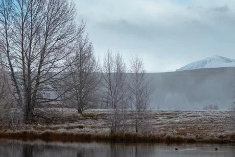 Frost at Kelland's Pond Stock Photos