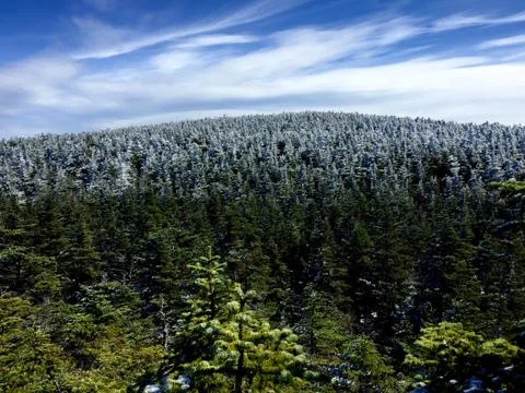 Frost Line Stock Photos