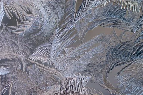 Frost macro Stock Photos