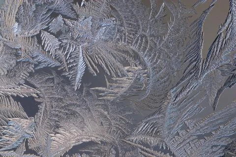 Frost macro Foto stock