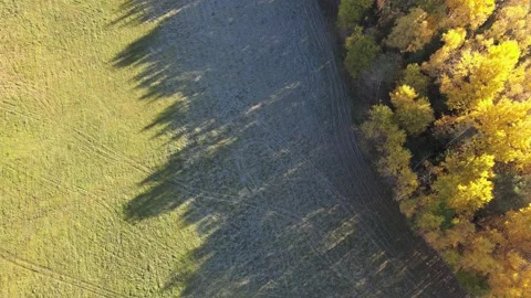 Frost morning Stock Footage 166399004