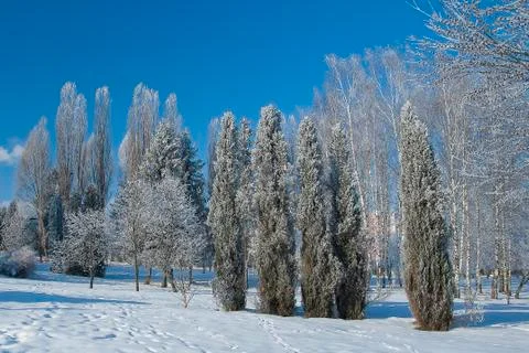Frost park Stock Photos