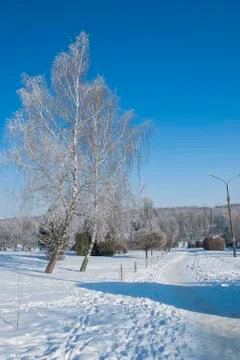 Frost park Stock Photos