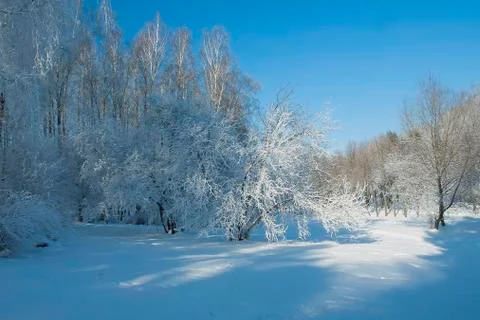 Frost park 스톡 사진